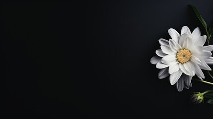 impact black square background