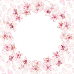 Wreath of sakura flowers isolated on a white background. Spring blooming cherry blossom flowers for Hanami festival. Delicate shades of pink, lilac, violet petals. Watercolor template for card, poster