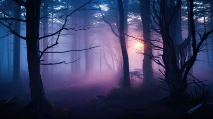 Obraz premium mist trees blur