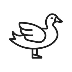 Duck icon vector image. Suitable for mobile apps, web apps and print media.