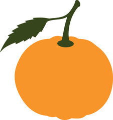  Minimalist vector illustration of an orange fruit