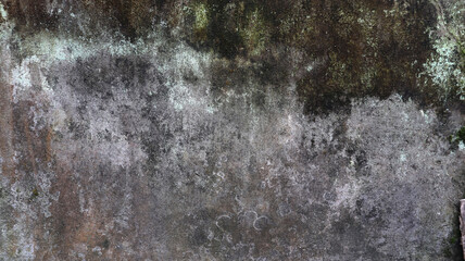 Cracked concrete wall texture. Grunge concrete wall background