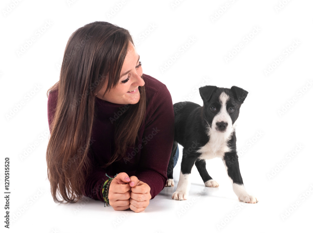 Wall mural puppy border collie and woman in studio