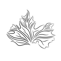 Fototapeta premium Leaf iicon