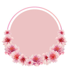 Round frame with sakura flowers with color background isolated on white. Spring blooming cherry blossom flowers for Hanami festival. Delicate shades of pink, lilac, purple petals. Watercolor template