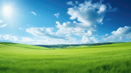 Fototapeta premium sky leap year green