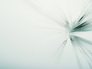 Fototapeta premium Abstract Dynamic Texture Design with Soft Light Elements