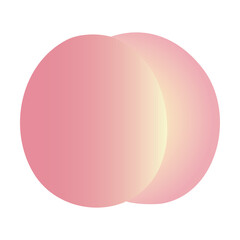 白桃のベクターイラスト
