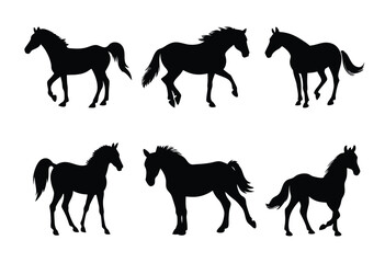 Horse Bundle Silhouette Clipart