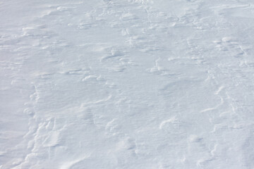 The snow is white and the ground is covered in it