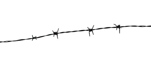 barbed wire security protection boundary barrier isolated on transparent background