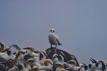 what are you looking at