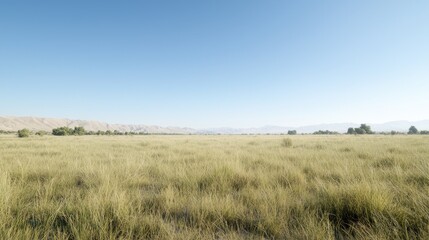 Serene grassy plains under a clear sky, mountains in the distance; ideal for travel brochures