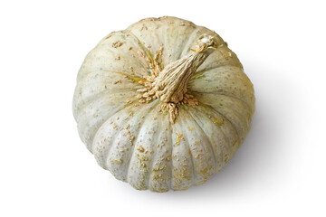 Large natural pumpkin on white background with shadow. Organic pumpkin close-up.