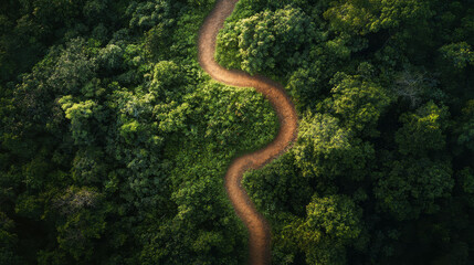 Fototapeta premium A sinuous dirt trail winding through a lush forest, seen from above