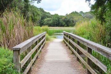 Fototapeta premium A wooden bridge leading into a lush green landscape by a calm water body.