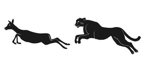 silhouette of cheetah hunting deer