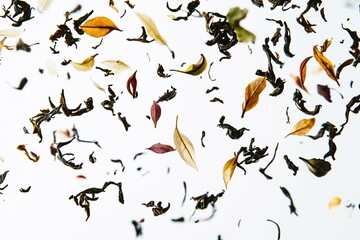Delicately suspended tea leaves highlight their intricate shapes and textures, backlit for a striking effect against a clean white backdrop.