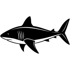 A fierce black and white illustration of a great white shark swimming