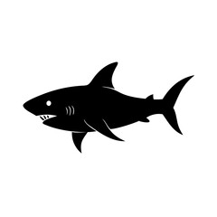 Silhouette of a Great White Shark Swimming in the Ocean