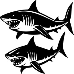 Two ferocious black and white great white sharks illustration art graphic design