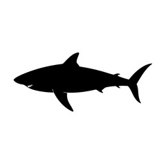 Black Silhouette of a Shark Swimming in the Ocean a Predator of the Sea