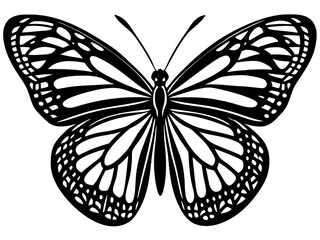 Intricate Black and White Monarch Butterfly Illustration Detailed Wings Pattern Design