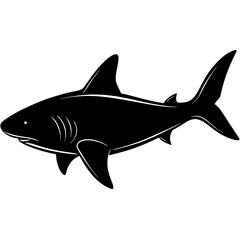 Silhouette of a Shark Swimming in the Ocean Depths