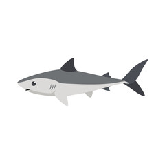 Adorable Cartoon Shark Illustration Grey White Fins Ocean Animal