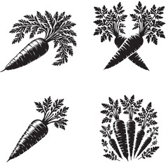 4 black Vector Silhouette of Carrot Vegetable on White Background