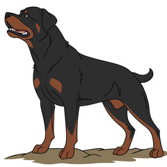 High Quality Rottweiler Dog Vector