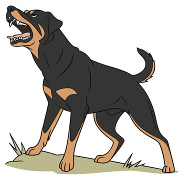 recommend clip art: High Quality Rottweiler Dog Vector