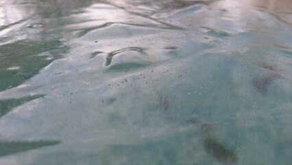 Close-up of pond ice