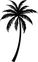 Palm tree silhouette vector illustration, tropical beach landscape, coconut palm icon, summer holiday design, exotic island sunset scene, black palm tree isolated
