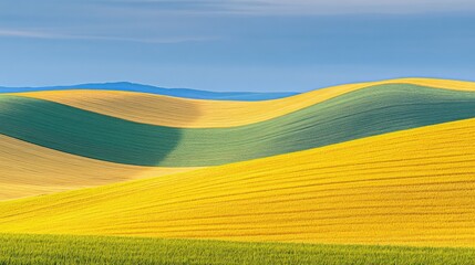 Rolling Hills of Vibrant Yellow and Green Fields Under Blue Sky
