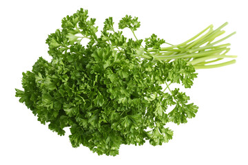 Fototapeta premium Parsley bunch Isolated on white background