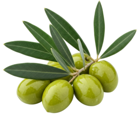 Fresh green olives with leaves, isolated on transparent background. AI generated edible oil symbol for label, poster and banner. Reducing inflammation, cardiovascular health, and preventing cancer. 
