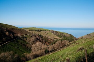 green valleys on the water's edge