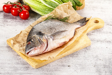 Raw dorada fish served rosemary