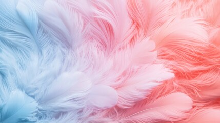 A soft colorful background featuring gentle blue and pink feathers, creating a whimsical and dreamy atmosphere.