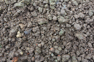 Eco-Friendly Soil Bed with Organic Compost and Fertilizer for Sustainable Gardening