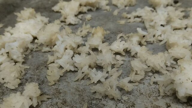 Nasi aking. Nasi aking is leftover rice that is dried in the sun and is generally used as animal feed.