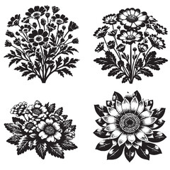 Vector Silhouette of Cineraria Flower on White Background