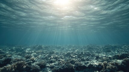 Fototapeta premium Underwater coral reef, sunlight beams through water, marine ecosystem, potential conservation image