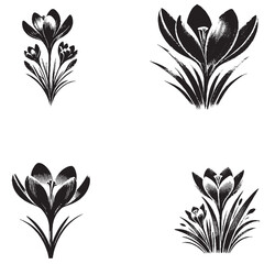 High-Quality Vector Silhouette of Crocus Flower on White Background
