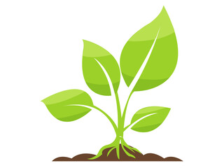 Vibrant green plant illustration with leaves and roots, symbolizing growth and nature