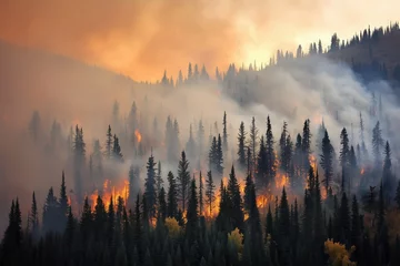 Acrylic prints A massive wildfire engulfs a dense forest, sending thick smoke into the sky. The intense flames highlight the devastating impact of climate change and extreme heat on natural ecosystems.