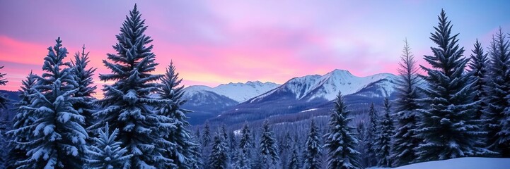 Pink winter sunrise illuminating snow covered evergreen firs in a stunning mountain landscape with a Christmas background, firs, landscape, winter