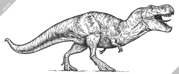 Vintage engraving isolated Tyranosaurus rex set illustration t-rex ink sketch. Dinosaur background Rex silhouette Jurassic art. Black and white hand drawn vector image