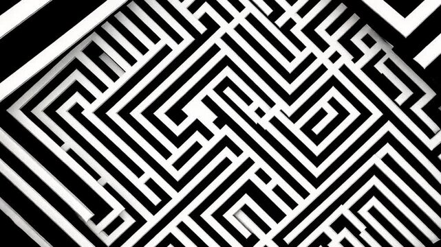 A black and white maze pattern continuously shifting and transforming